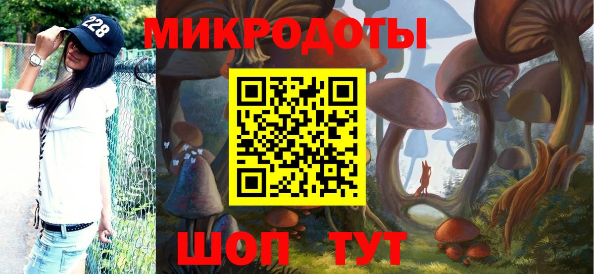 Артём  Галлюциногенные грибы Cubensis  Вход с VPN 